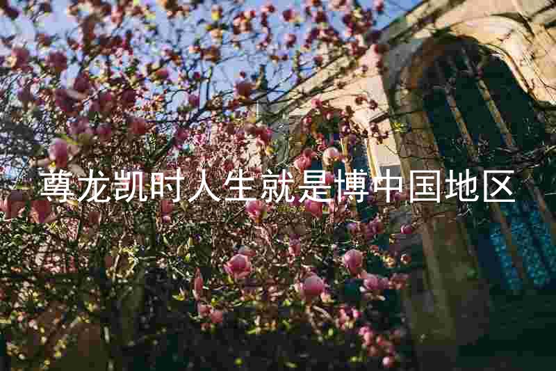 尊龙凯时人生就是博中国地区