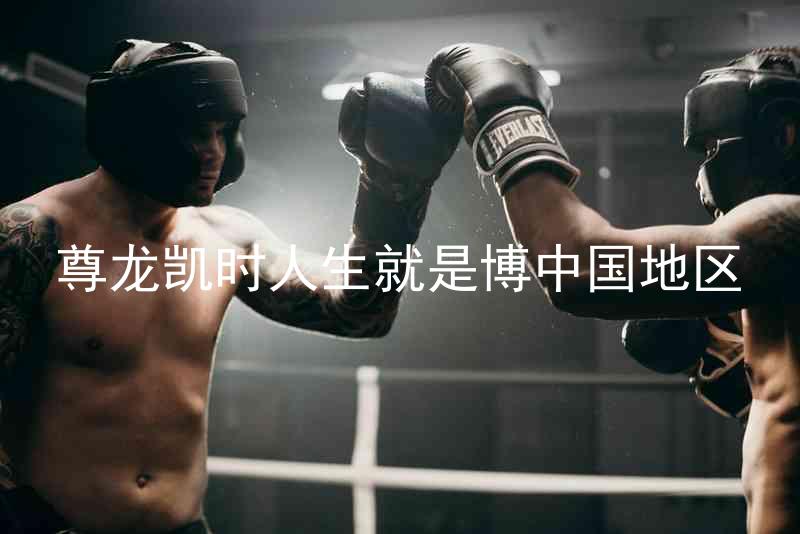 尊龙凯时人生就是博中国地区